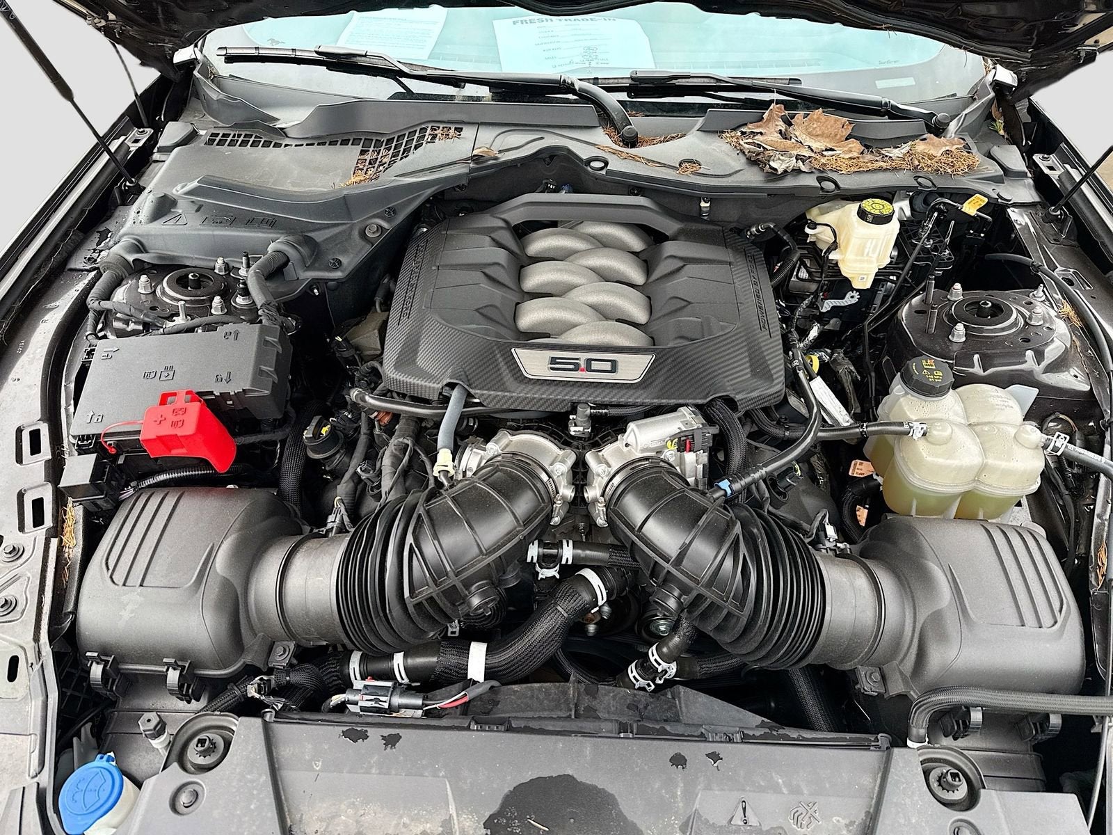 2024 Ford Mustang GT Premium Fastback