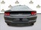 2024 Ford Mustang GT Premium Fastback
