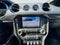 2019 Ford Mustang BULLITT