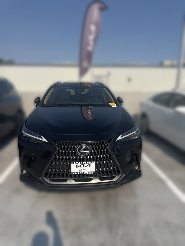 2024 Lexus NX 350h Luxury