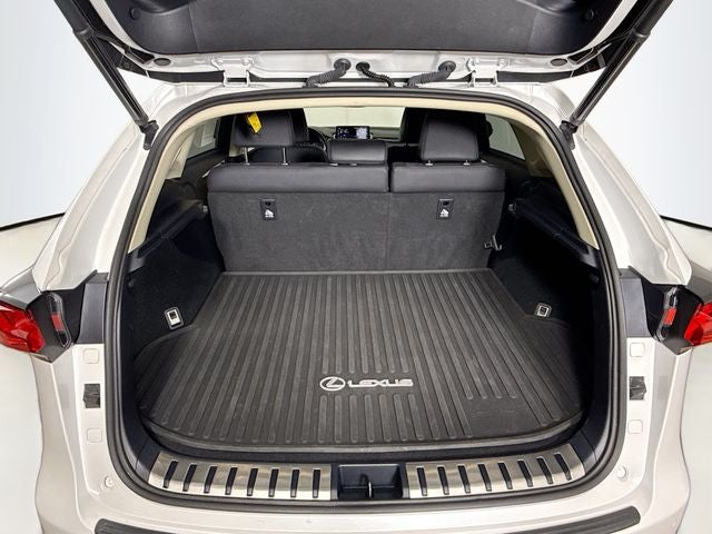 2020 Lexus NX 300 Luxury