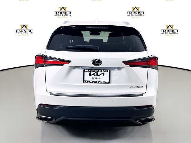 2020 Lexus NX 300 Luxury