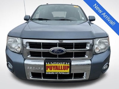 2011 Ford Escape Limited