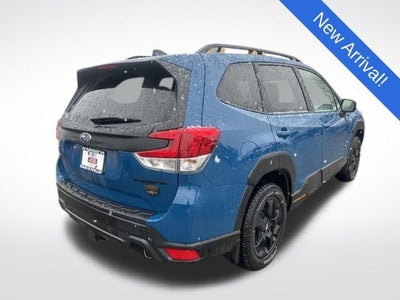 2025 Subaru Forester Wilderness
