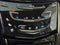 2020 Cadillac Escalade Platinum